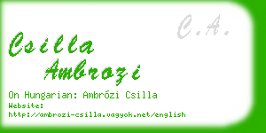 csilla ambrozi business card